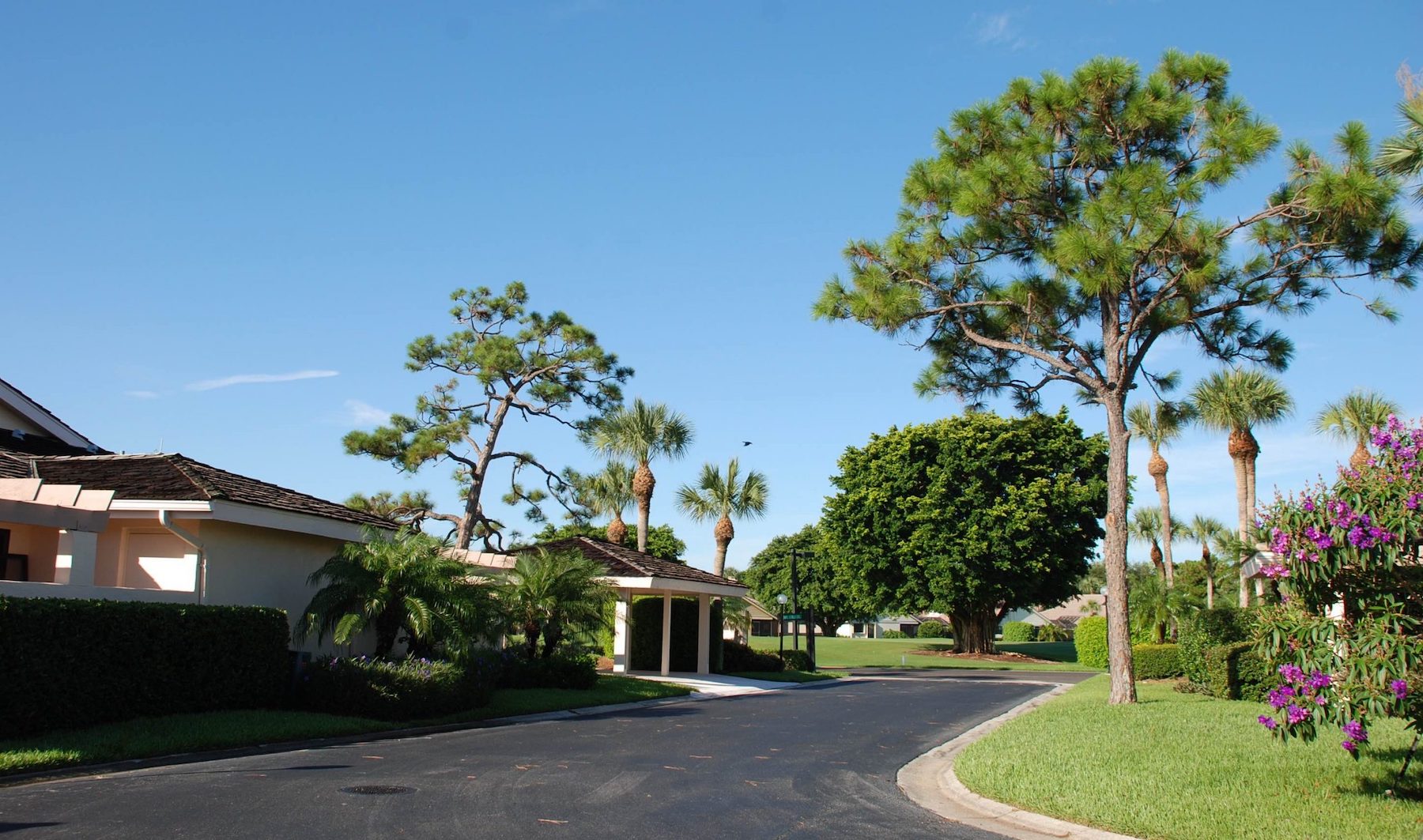 Jonathans Landing Sales